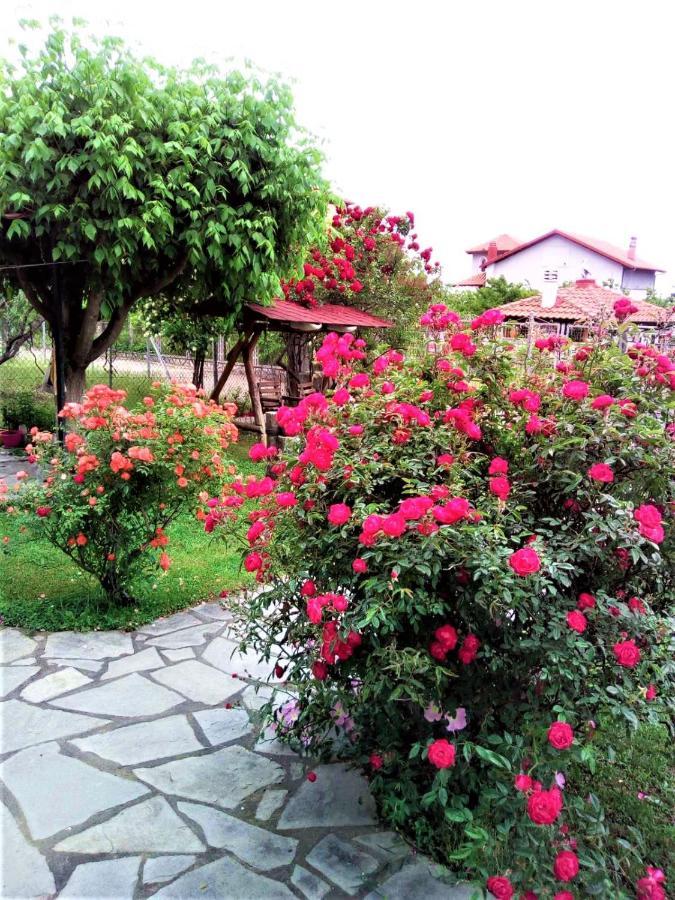 Villa Jenny Leptokarya  Exterior photo