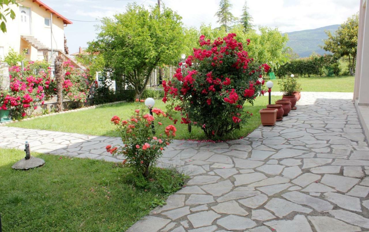 Villa Jenny Leptokarya  Exterior photo